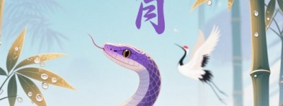 欲钱看王八中解元，长虺成蛇代表什么生肖，赛选解答词语释义